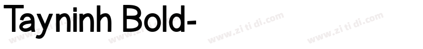 Tayninh Bold字体转换